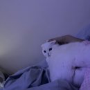 맘쓰밥버거 이미지