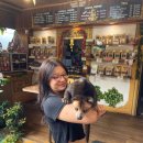 웰컴투노래연습장 | 신혼여행 발리 자유여행 - 3일차(와룽마칸부루스, 티켓투더문,피손)