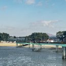 서해한식당 | 궁평항🌊 애견동반 산책 ( feat 한식당 석정 )