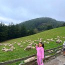 햇살마루목장 이미지