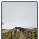 신영목장 이미지