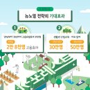 포레스트숲