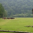 이리목장 이미지