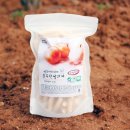 미미까까 이미지