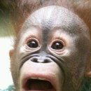 은파세차장 이미지