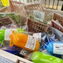 개좋다냥 이미지