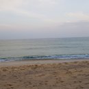 방우농장 이미지