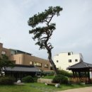 군위숭덕박물관 네이버블로그