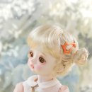 도로시(Dorothy) 이미지