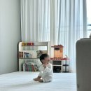 한결태권도장 | 퍼즐매트 소리안나 층간소음 걱정 없이 아이가 맘껏 뛰어놀 수 있는 우리집 놀이방!