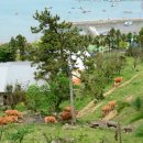 억대축산 이미지