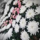 영락공원 장례식장 이미지