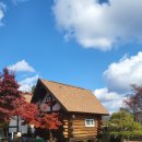 아르고통나무펜션 | 철원 아르고 통나무 펜션 추천 한탕강 직탕 폭포 바로 앞 위치 좋은 숙소(톰 방, 독채, 개별바베큐...