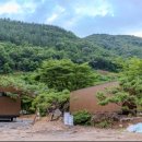 하물 Stay 이미지