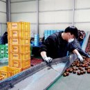 화천시장조합 이미지