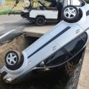 애니카 서비스 이미지