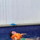 에이미테이블 이미지