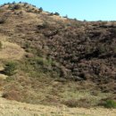 동거목장 이미지