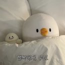 대성프라자 네이버블로그