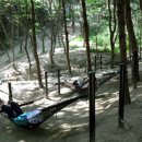 낙성대공원도서관 이미지