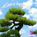 매일한끼 이미지