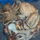 오늘도 여수 이미지