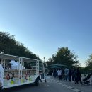 하늘공원 | [마포] 하늘공원 억새축제 데이트 후기