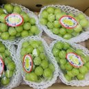 만땅농장 이미지