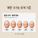 연화마트 이미지