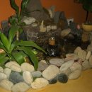 서해민박 이미지