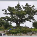 정선동강테라스민박 이미지