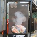 착한곱한우곱창 대구경북직영점 | 대구종로맛집 동성로이자카야 곱창가득 모츠나베 오호리준본점
