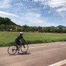 사공일구이양산