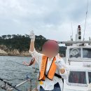 6288 | 후기 | 울산 낚시 체험 후기 | 일산레져 | 아라퀸호 | 내돈내산 추천