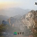 월항면보건지소 이미지