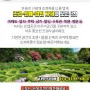 (주)한솔조경 이미지