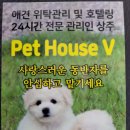 펫하우스 V 네이버블로그