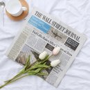 감성쿡