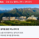 여기어때 콘서트팩 고성 후기 | 장민호, 로이킴, 말자할매, 고성 소노캄 델피노, 고성 소노벨 델피노