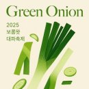 성읍리-23 이미지