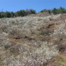 한창농장 이미지