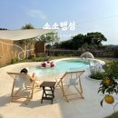 소소행성 이미지