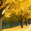 광시중학교 이미지