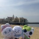 K-Best(케이 베스트) 태권도장 | 앤팀보러 후쿠오카로 나른 후기