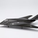 F-117“Nighth awk”stealth attack aircraft 이미지