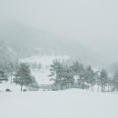 겨울