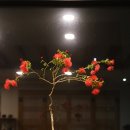 아사가차관 이미지