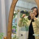 악토플랜트