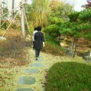 금선이네집