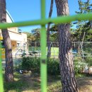 조산초 적은분교장 이미지